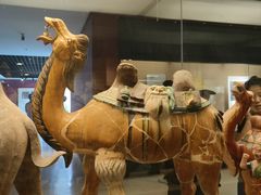 -西安大唐西市博物馆