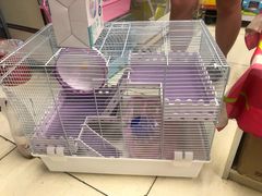 -钓仓鼠(洋桥北里小区店)