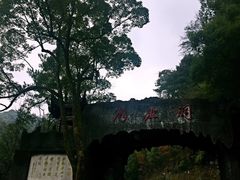 -滴水洞景区