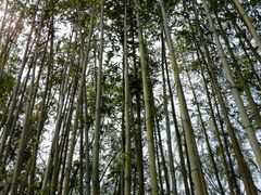 -武清南湖绿博园