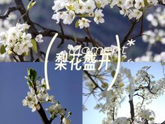 -东莞市大岭山森林公园