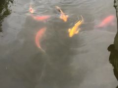 -观宴·品质赣菜(高新大道店)