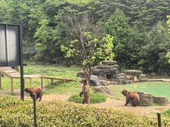 -杭州野生动物世界