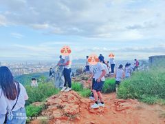 -长虫山生态公园风景林