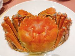 -王宝和酒家(黄浦店)