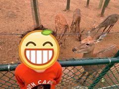 -大连铭湖国际观光牧场