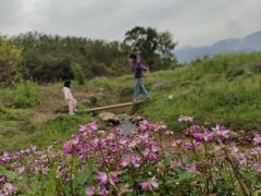 -福清灵石山国家森林公园