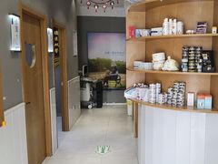 -关爱宠物医院·猫科中心·消化科(滨湖万达分院)