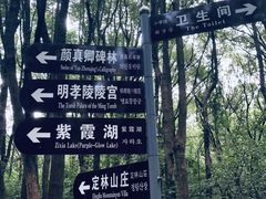 -紫霞湖公园