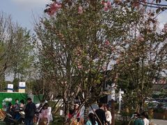 -三圣花乡旅游区