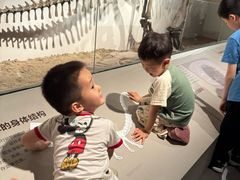 -自贡恐龙博物馆