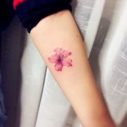 -明星刺青·洗纹身