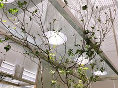 -青山研究所Aoyama Lab