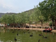 -静之湖度假区