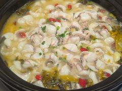 -周渝食惦酸菜鱼(青浦店)