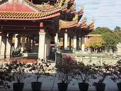-仙岳公园