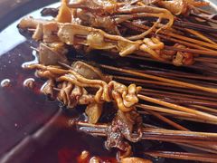 红油钵钵鸡-老七钵钵鸡