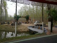 -合肥滨湖国家森林公园