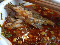 三角峰-蜀滋香鲜鱼美蛙火锅(339店)