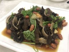 捞起黑牛柏叶-汇兴源餐馆(小北路店)