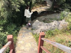 -山王坪喀斯特国家生态公园
