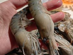 -加餐海鲜自助(宝龙一城店)
