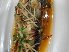 -渔码头食府·20年蓬莱老字号(登州路店)
