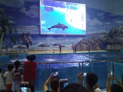 -福州罗源湾海洋世界旅游区