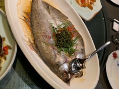 -九朝会昆曲·宴(望京店)