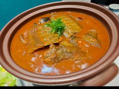 -丁老爷子苏香圆