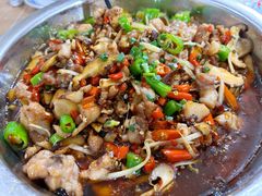 -食神又名厕所兔