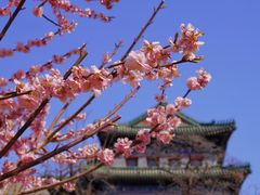 -北京明城墙遗址公园