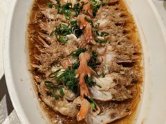 -金美华轩(东方路齐鲁店)