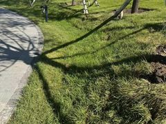 -长春世界雕塑园冰雪艺术天地