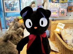 -猫的天空之城概念书店(北戴河蔚蓝海岸店)