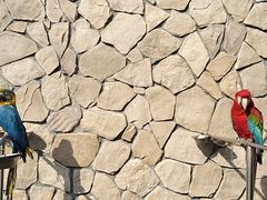 -千岛湖东南湖区