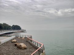 -深圳湾公园(南山区)