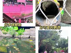 -青青世界