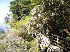 -井冈山风景名胜区