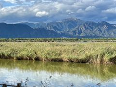 -野鸭湖国家湿地公园