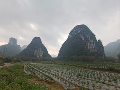 -明仕田园