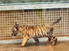 -西霞口神雕山野生动物世界