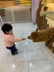 -Moni星球萌宠·小马宝莉·灵蛇·高端高阶全萌宠互动体验俱乐部(红豆国际广场店)