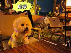 -城墙外BAR