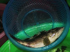 -幸福姐海鲜大排档