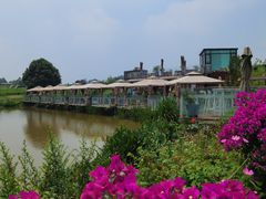 -空港花田景区