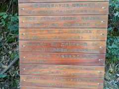 -十八棵（老龙井）御茶园(老龙井店)