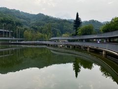 -银湖山郊野公园-相思林