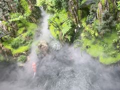 -唐河王记·南阳民间菜(国基路店)