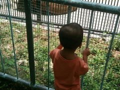 -广东茂名森林公园